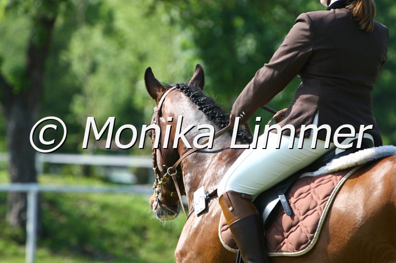 005M4223_Carlos_Stil A.JPG